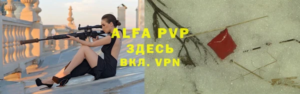молекула духа Козловка