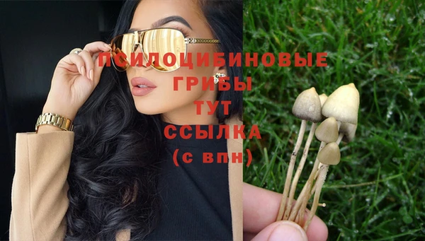скорость Корсаков