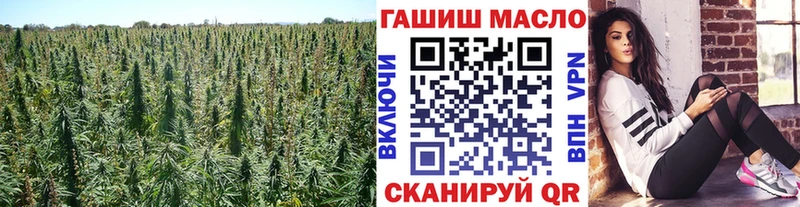 MEGA ONION  Кемь  Дистиллят ТГК Wax  купить наркотики сайты 