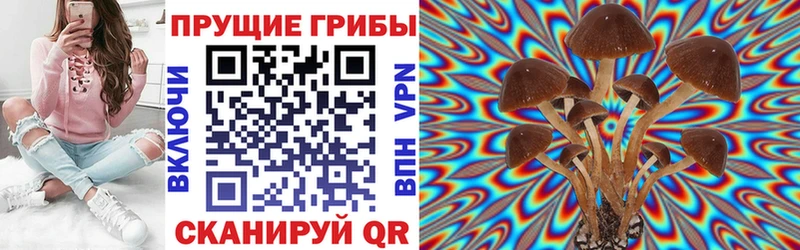 купить наркотики сайты  Кемь  Псилоцибиновые грибы прущие грибы 