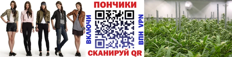 Бошки марихуана Bruce Banner  Кемь 